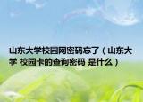 山东大学校园网密码忘了（山东大学 校园卡的查询密码 是什么）