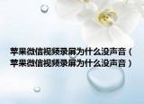 苹果微信视频录屏为什么没声音（苹果微信视频录屏为什么没声音）