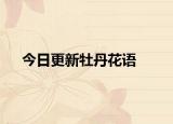今日更新牡丹花语