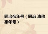 同治帝年号（同治 清穆宗年号）