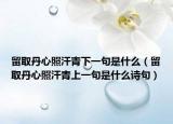 留取丹心照汗青下一句是什么（留取丹心照汗青上一句是什么诗句）