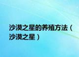 沙漠之星的养殖方法（沙漠之星）