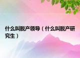 什么叫脱产领导（什么叫脱产研究生）