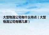 大型物流公司有什么特点（大型物流公司有哪几家）