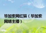 毕加索网红猫（毕加索 网络主播）