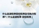 什么是源程序目标程序及可执行程序?（什么是源程序 目标程序）