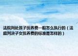 法院判处孩子抚养费一般怎么执行的（法庭判决子女抚养费的标准是怎样的）