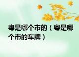 粤是哪个市的（粤是哪个市的车牌）