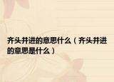 齐头并进的意思什么（齐头并进的意思是什么）