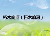 朽木响河（朽木响河）