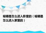 蟑螂是怎么进入卧室的（蟑螂是怎么进入家里的）