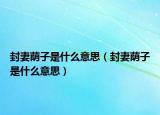 封妻荫子是什么意思（封妻荫子是什么意思）