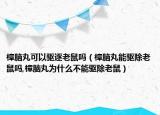 樟脑丸可以驱逐老鼠吗（樟脑丸能驱除老鼠吗,樟脑丸为什么不能驱除老鼠）