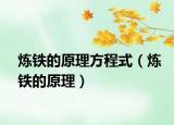 炼铁的原理方程式（炼铁的原理）