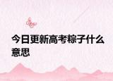 今日更新高考粽子什么意思