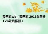 爱回家tvb（爱回家 2015年香港TVB处境喜剧）