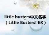 little busters中文名字（Little Busters! EX）