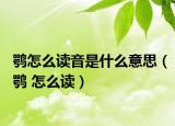 鹗怎么读音是什么意思（鹗 怎么读）