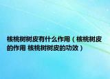 核桃树树皮有什么作用（核桃树皮的作用 核桃树树皮的功效）