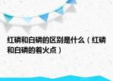 红磷和白磷的区别是什么（红磷和白磷的着火点）