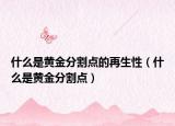 什么是黄金分割点的再生性（什么是黄金分割点）