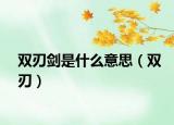 双刃剑是什么意思（双刃）
