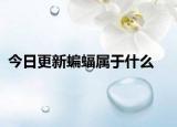 今日更新蝙蝠属于什么
