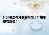 广州哪里有免费的核酸（广州哪里有蹦极）