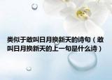 类似于敢叫日月换新天的诗句（敢叫日月换新天的上一句是什么诗）