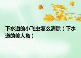 下水道的小飞虫怎么清除（下水道的美人魚）