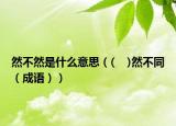 然不然是什么意思（(    )然不同（成语））