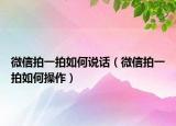 微信拍一拍如何说话（微信拍一拍如何操作）