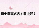 白小白高火火（白小起）
