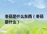 冬菇是什么东西（冬菇是什么）