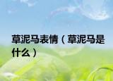 草泥马表情（草泥马是什么）