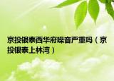 京投银泰西华府噪音严重吗（京投银泰上林湾）