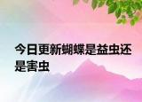 今日更新蝴蝶是益虫还是害虫