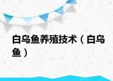 白乌鱼养殖技术（白乌鱼）