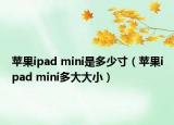 苹果ipad mini是多少寸（苹果ipad mini多大大小）