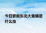 今日更新东北大蚕蛹是什么虫