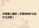 沙僧是人是妖（沙僧也叫什么在什么为妖）
