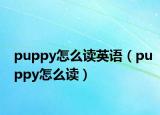 puppy怎么读英语（puppy怎么读）