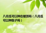 八月瓜可以种在楼顶吗（八月瓜可以种院子吗）