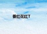 番红花红T