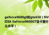 geforce9600gt和gtx650（NVIDIA GeForce9600GT显卡里什么水平）