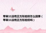 苹果11没有正方形拍照怎么回事（苹果11没有正方形拍照吗）