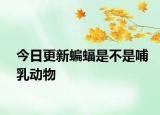 今日更新蝙蝠是不是哺乳动物