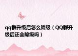 qq群升级后怎么降级（QQ群升级后还会降级吗）