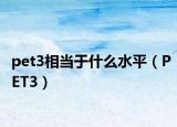 pet3相当于什么水平（PET3）