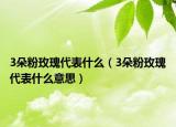 3朵粉玫瑰代表什么（3朵粉玫瑰代表什么意思）